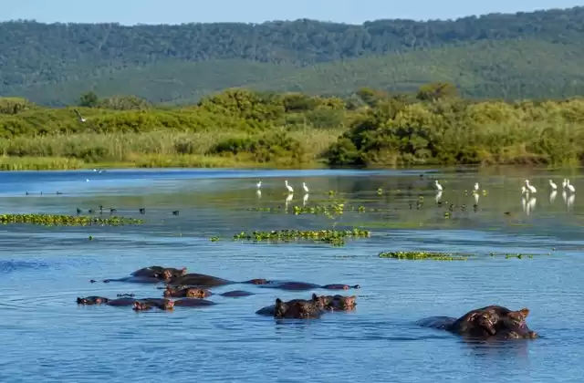 En iSimangaliso Wetland Park