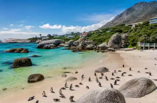 En la península del Cabo