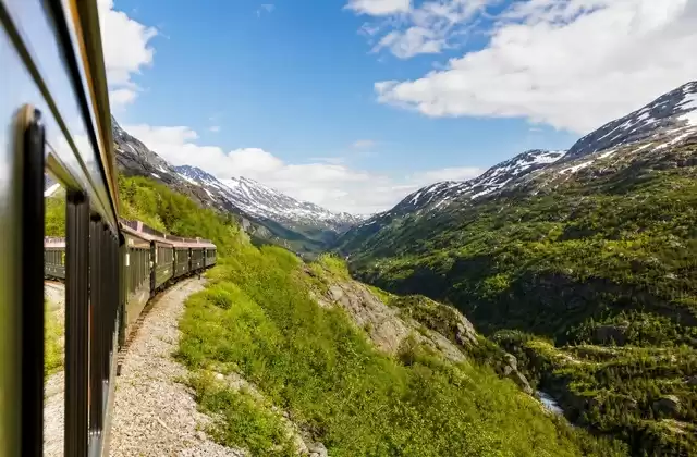 Desde el tren del White Pass