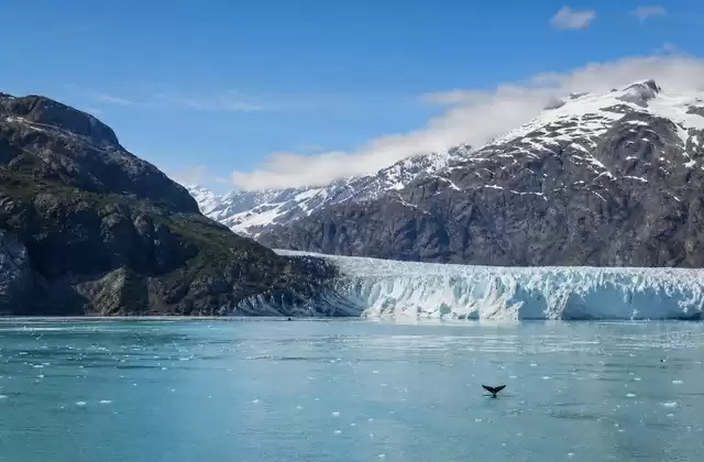 En Glacier Bay