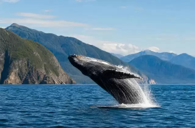En el agua