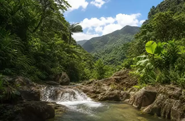 En Puerto Rico
