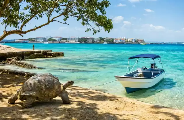 En Prison Island
