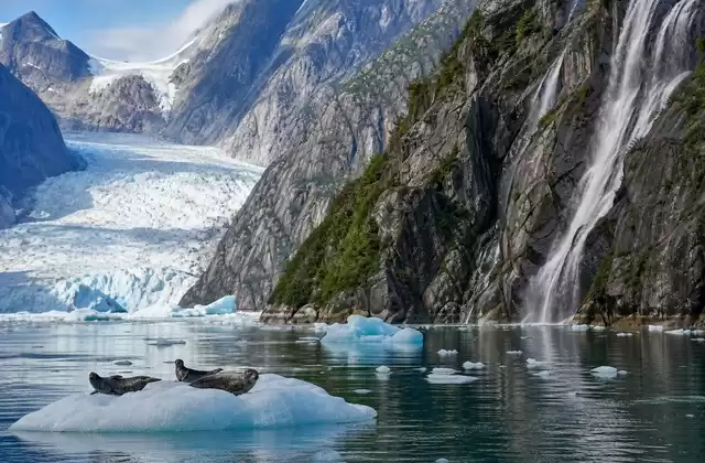 Endicott Arm y Dawes Glacier