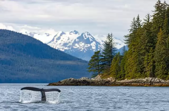 Icy Strait Point