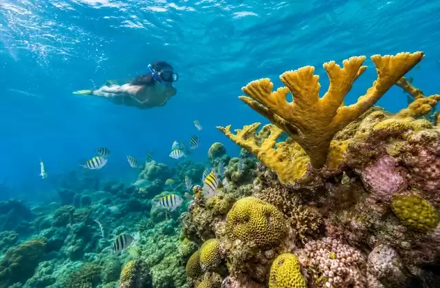 Roatan