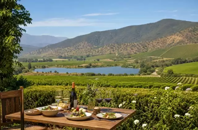 Valle de Casablanca