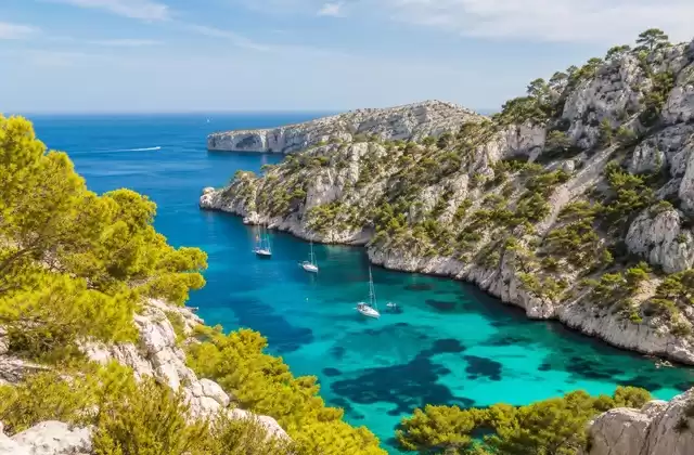 Calas
