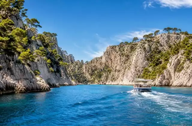 Calas