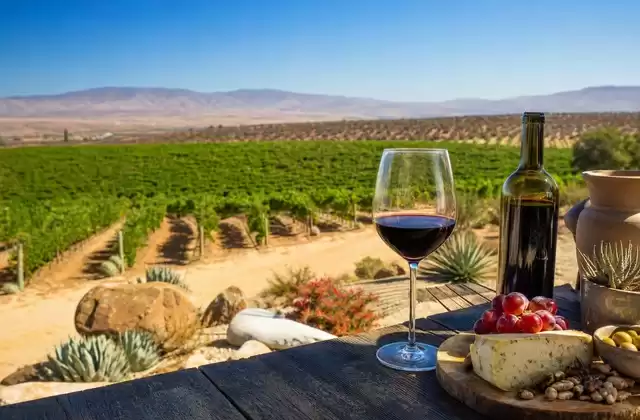 Valle de Guadalupe