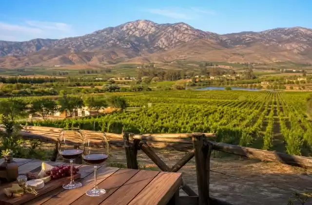 Valle de Guadalupe