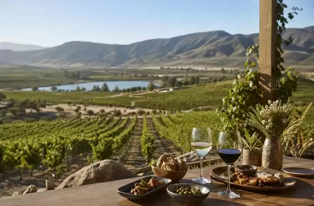 Valle de Guadalupe