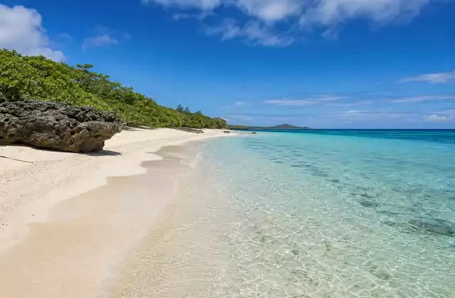 Maré
