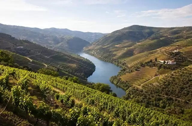 Valle del Duero