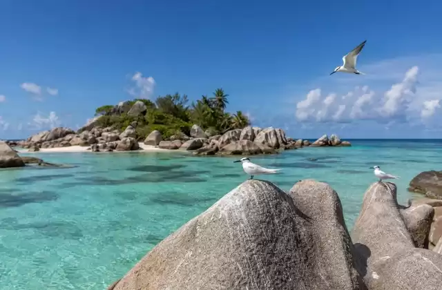 Aride